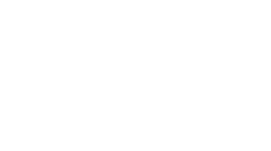 Studio Petit A — Directrice Artistique & Identité Visuelle | Lyon